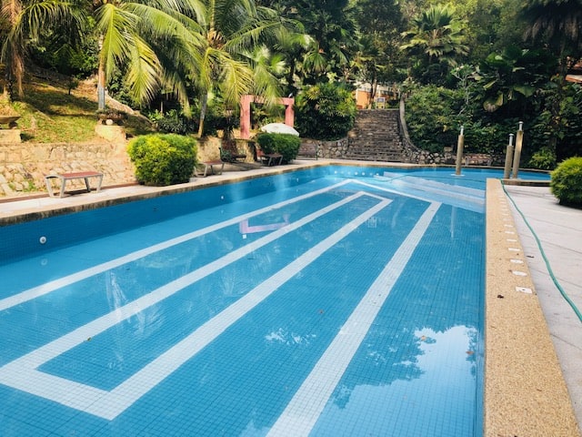 swimming pool at youth park penang
