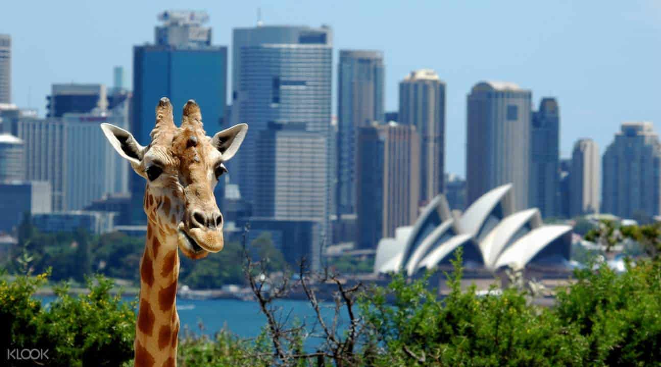 Sydney Day Trips