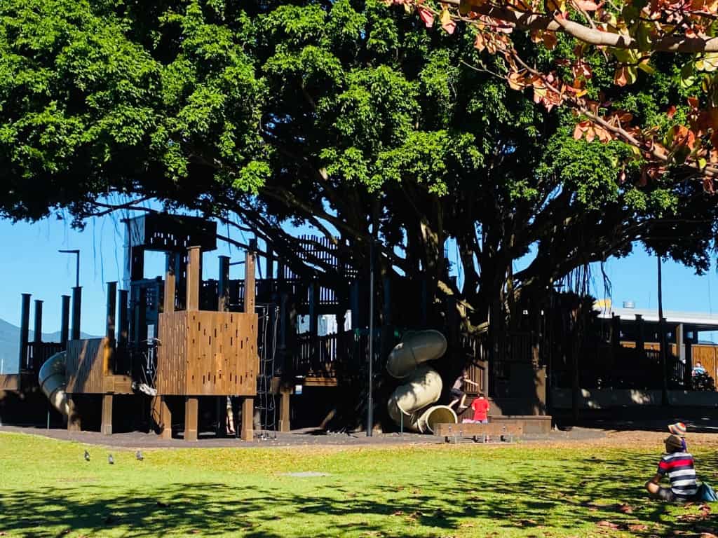 Free things to do in Cairns - Fig Tree Park Playground