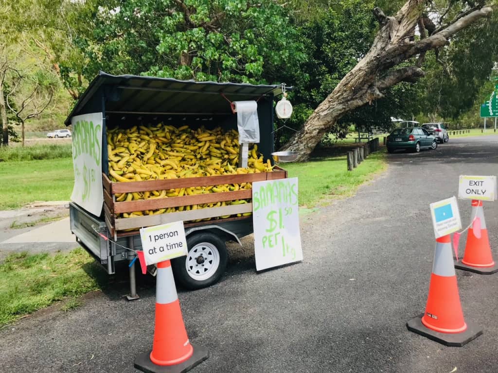 buy bananas on your way to Cape Tribulation