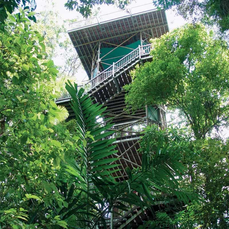 Daintree Discovery Centre