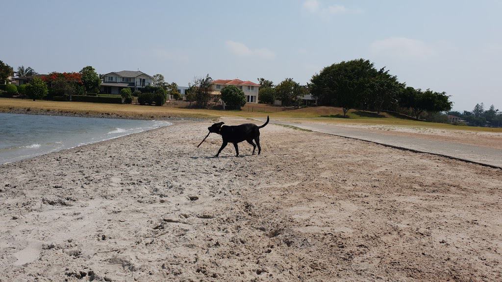 dog friendly beaches gold coast