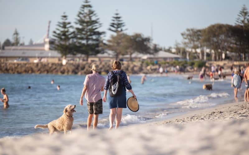 dog friendly beaches and swimming holes in perth