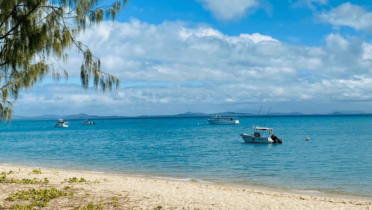 Things to do in Airlie Beach with kids