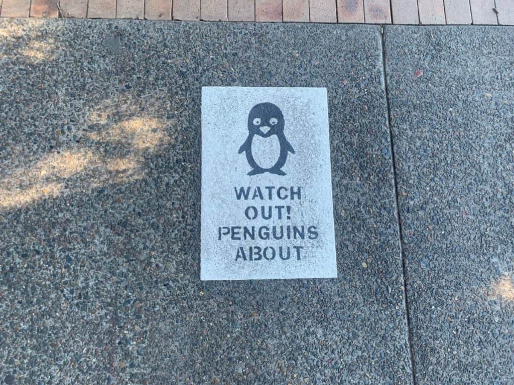 Manly Penguins
